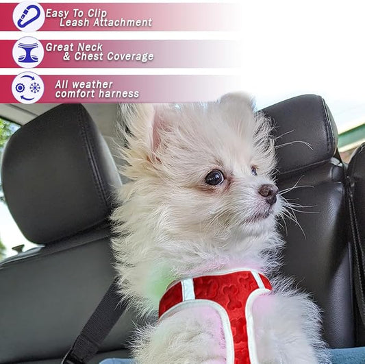 Comfort Fit Step-in Dog Harness All-Weather Dog & Puppy Harness Adjustable Extra Comfort Soft Padded No-Pull Vest for Small Medium Dogs Easy to Put On Secure Buckle Fit (Plush Both Side Velvet)