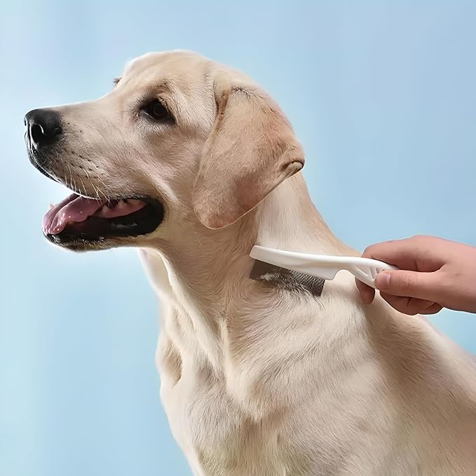 4 in 1 Skin Friendly Grooming kit including Dematting Rakes,Self Cleaning Slicker Brush,Deshedding Brush,Flea Comb for Haired cat Dog and Small Animals.