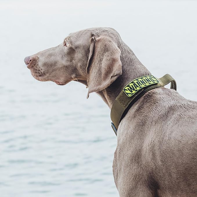 OneTigris Tough Dog Collars, Tactical Dog Collar with Handle, Milltary Adjustable Dog Collar with Heavy Duty Metal Buckle for Training (Green, S)
