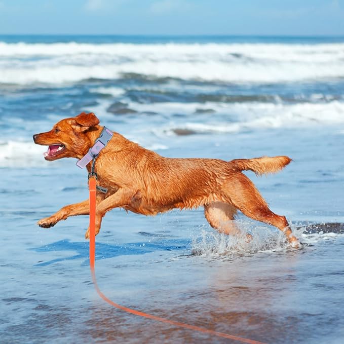 Wolfone 30ft Orange Long Leash - Waterproof Training Dog Leash for Recall, Swimming, Camping, Beach, Hunting, Walking
