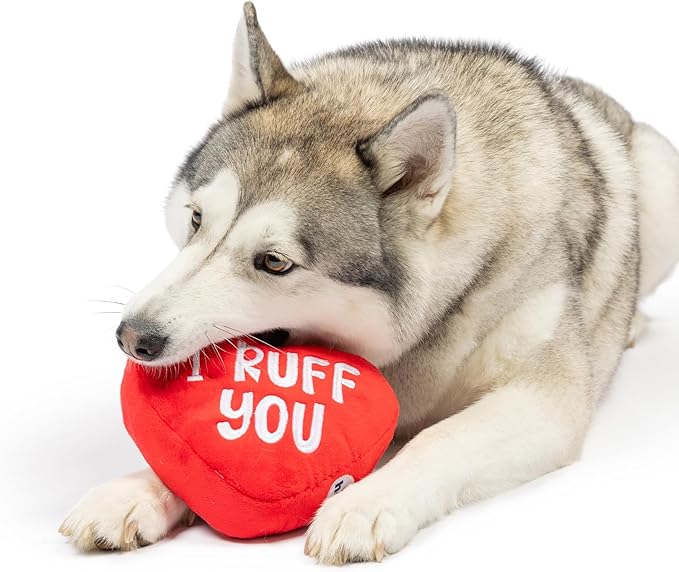 Huxley & Kent Funny Dog Toy w/Squeaker – Power Plush Squeaky Dog Toys for Small, Medium & Large Dogs – Soft Stuffed Animal for Indoor Play & Fetch - First Lick Heart, Small