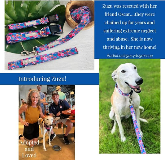 Lucky Love Dog - Easy Click Buckle Dog Collar with Leash Set Combo, Durable & Comfortable for Male & Female Dogs, Pet Collar for Large Dogs, Secure Fit - Zuzu Combo, XL