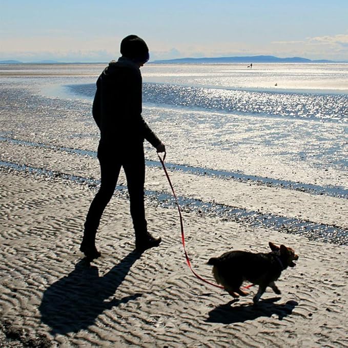 Long Dog Leash Waterproof Recall Training Lead Outdoor Long Line Great for Training, Beach, Play, Camping, or Backyard