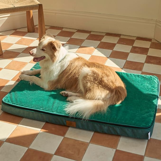 LIORCE Memory Foam XL Dog Bed - 4” Thick Orthopedic Beds for Extra Large Dogs - Waterproof Dog Bed with Removable Washable Cover & Wrap-Around Zipper - Ultimate Comfort and Easy Maintenance, Green