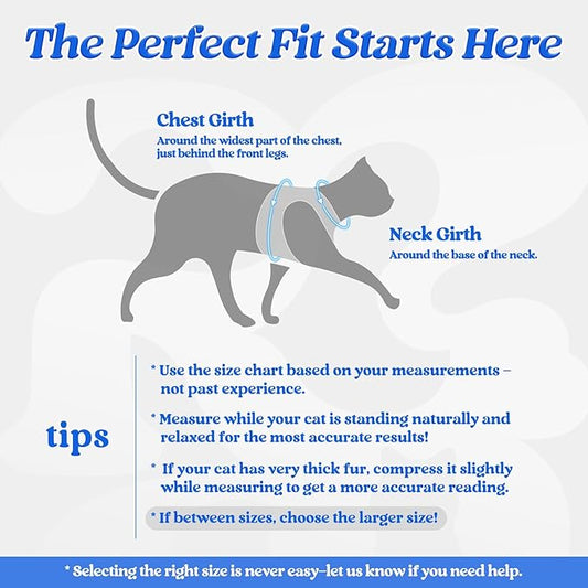 rabbitgoo Cat Harness and Leash Set for Walking Escape Proof, Adjustable Soft Kittens Vest with Reflective Strip for Cats, Comfortable Outdoor Vest, Blue, S