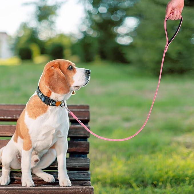 PUPTECK Reflective Dog Leash with Comfortable Padded Handle Durable Nylon Dog Lead for Small Medium and Large Dogs Cats Walking Running Training Outside, Light Pink