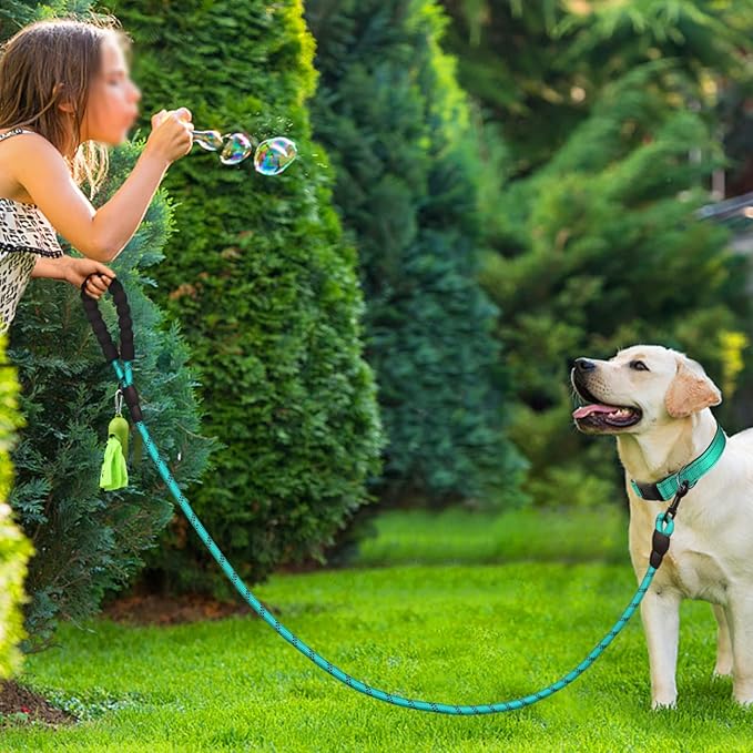 Dynmeow Reflective Dog Collar and Leash Set, 6FT Strong Climbing Rope Leash with Padded Handle, Adjustable Pet Collar with Soft Neoprene Padding for Large Dogs, Teal, L
