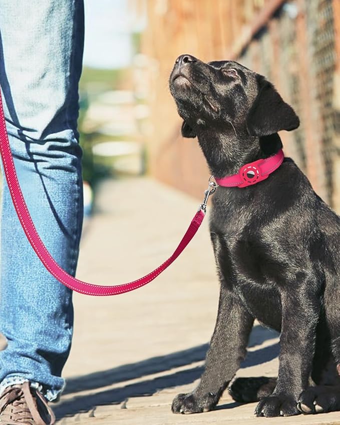 6FT Reflective Nylon Dog Leash with Soft Padded Handle for Walking, Running and Training, Supports Small Medium and Large Dogs (Hotpink, 3/4Inch Wide)