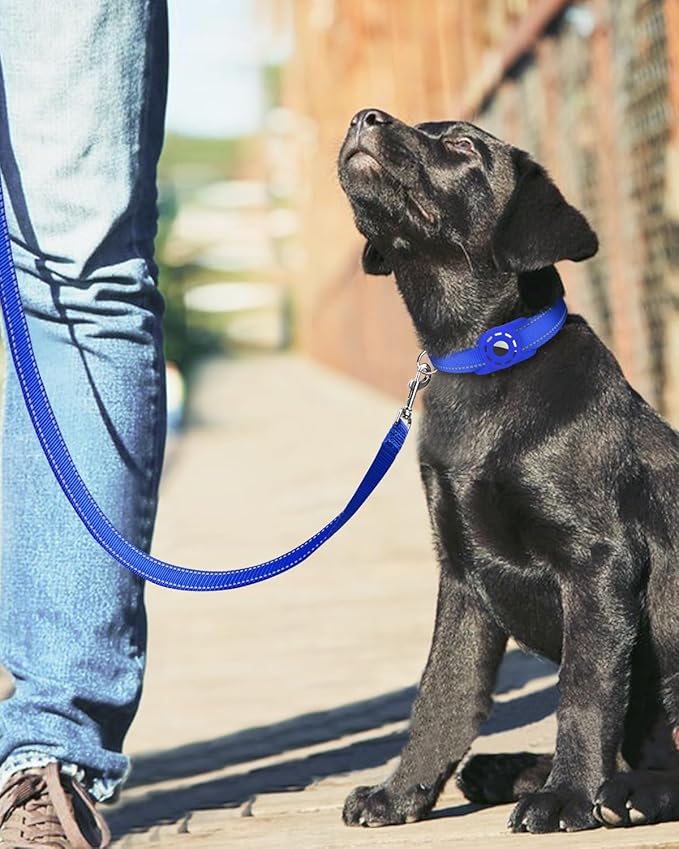 4FT Reflective Nylon Dog Leash with Soft Padded Handle for Walking, Running and Training, Supports Small Medium and Large Dogs (Royal Blue, 1 Inch Wide)