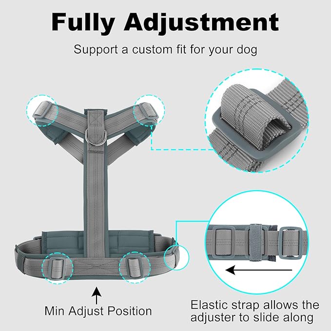 Plutus Pet No Pull Dog Harness, Adjustable Nylon Harness with Soft Padding, Reflective and Heavy Duty Dog Harness for Small, Medium, Large Dogs(Gray, S)