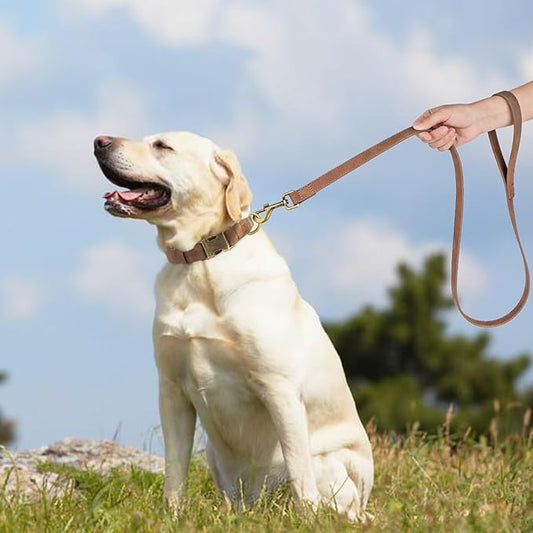 Didog PU Leather Dog Leash, Colorful Heavy Duty Dog Leash 4ft, Strong and Durable Faux Leather Lead, Walking and Training Lead for Small Medium Dogs,Brown