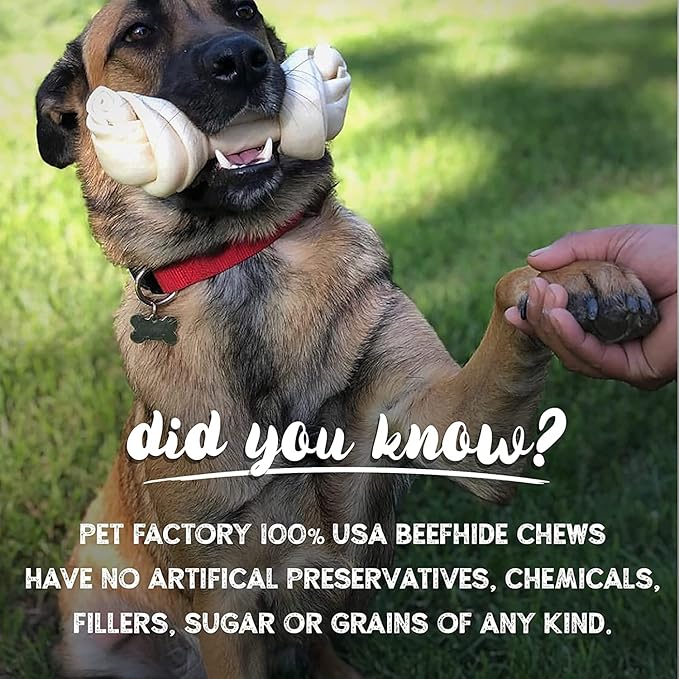 Pet Factory 100% Made in USA Beefhide 5" Chip Rolls Dog Chew Treats - Peanut Butter Flavor, 20 Count/1 Pack