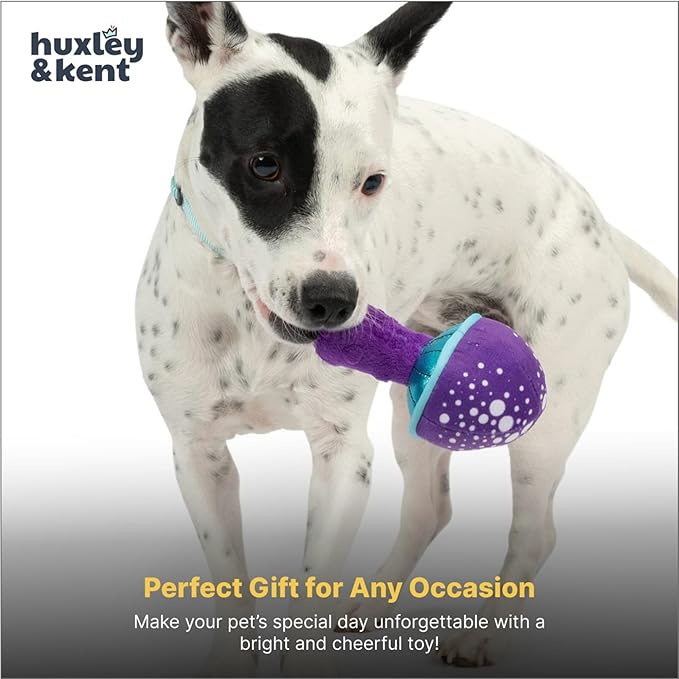 Huxley & Kent Funny Dog Toy w/Squeaker – Power Plush Squeaky Dog Toys for Small Dogs – Durable Small Stuffed Animal for Indoor Play & Fetch - Tiny Tuff Mellow Mushroom