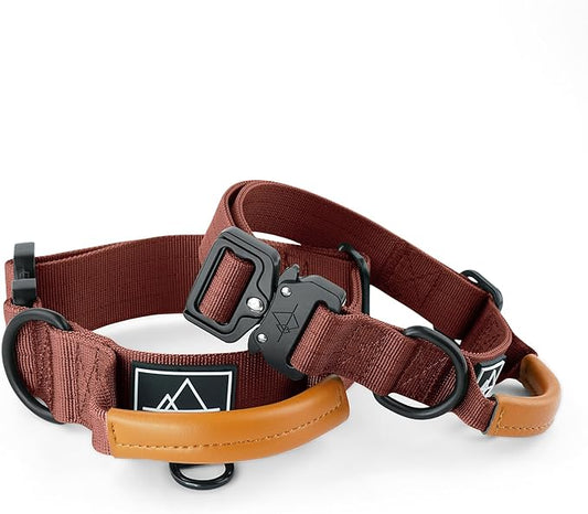 Made to ROAM Premium Explorer Control Collar - Adjustable Heavy Duty Nylon Dog Collar with Quick-Release Metal Buckle and Leather Handle (Arizona Heartbeat, Size 2, Control)