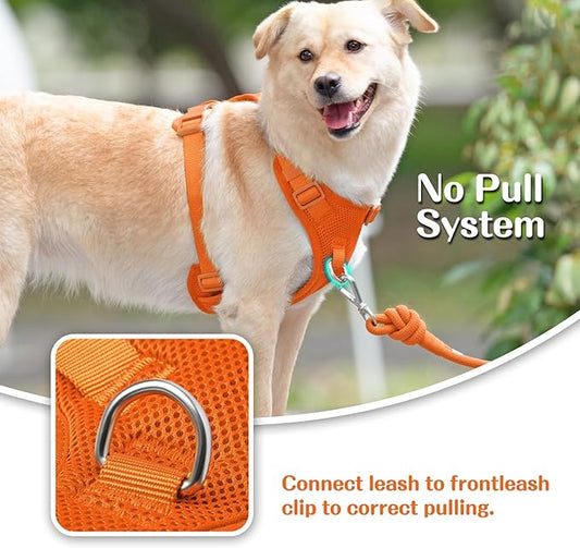 No Pull Dog Harness for Small Medium Large Dogs - Adjustable 2 Layer Mesh Dog Vest with Dual Clip, Escape Proof, Quick Release, Lightweight Breathable Mesh for Walking Hiking (Orange,XL)