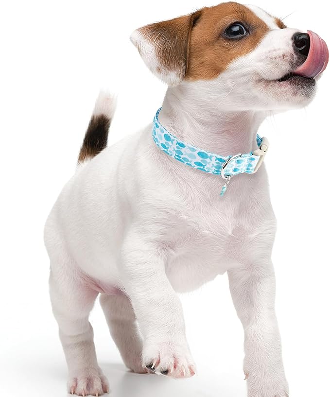 Faygarsle Fish Pattern Dog Collar, Adjustable with Buckle, Blue and White, Summer Design for Small Medium Large Dogs XS