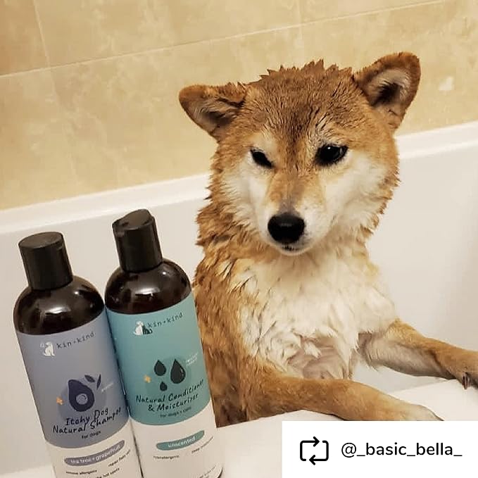 kin+kind Organic Dog Shampoo Itchy Skin Relief – Natural Dog Shampoo for Dry, Sensitive Skin – Moisturizing Formula with Coconut Oil, Olive Oil & Tea Tree – Grooming Supplies – Made in USA (12 fl oz)