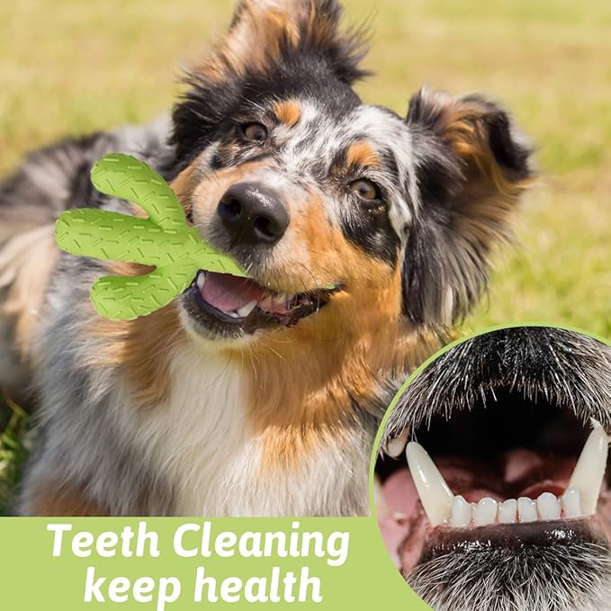 MewaJump Dog Chew Toys, Durable Rubber Dog Toys for Aggressive Chewers, Cactus Tough Toys for Training and Cleaning Teeth, Interactive Dog Toys for Medium/Large Dog