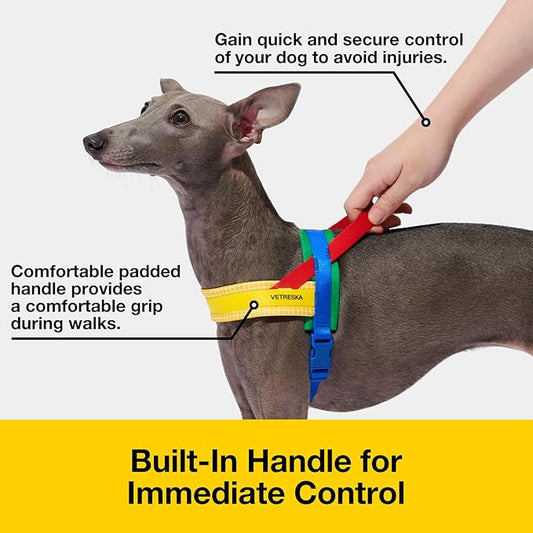 VETRESKA MoMA Dog Harness and Leash Set, Easy Walk Dog Harness for Small Medium Dogs, No Pull Puppy Harness for Walking and Training, Adjustable, Take Control & Anti-Twist Pet Lead Combo(Yellow, S)