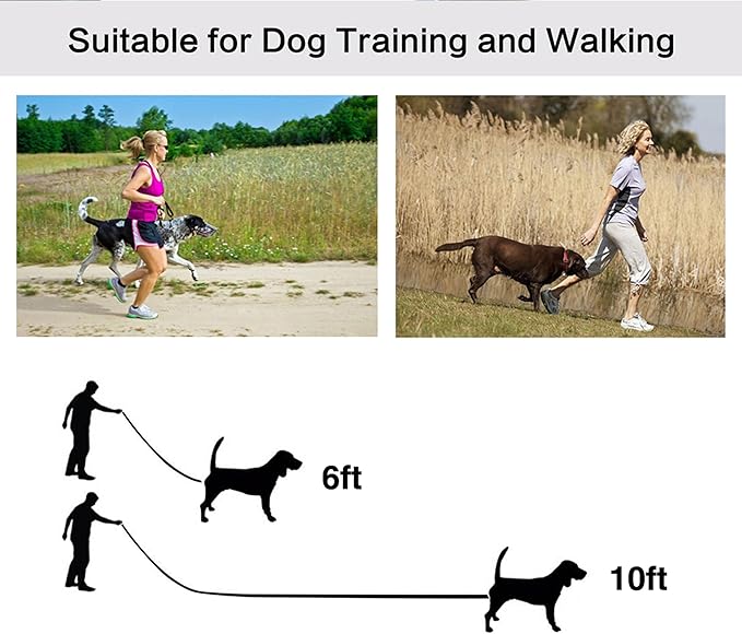 10ft Mint Blue Dog Leashes Long Line Training Leash,for Large,Medium and Small Dogs,Long Puppy Lead,for Training,Backyard,Camping,or Play,Great for Parks and Fetch (10FT, Mint Blue)
