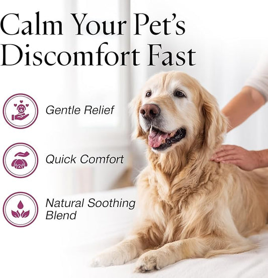 Jax N Daisy Don’t Let Your Dog Itch Lotion, 16 oz – Itch Relief for Dogs, Anti-Itch Skin Soother & Grooming Care