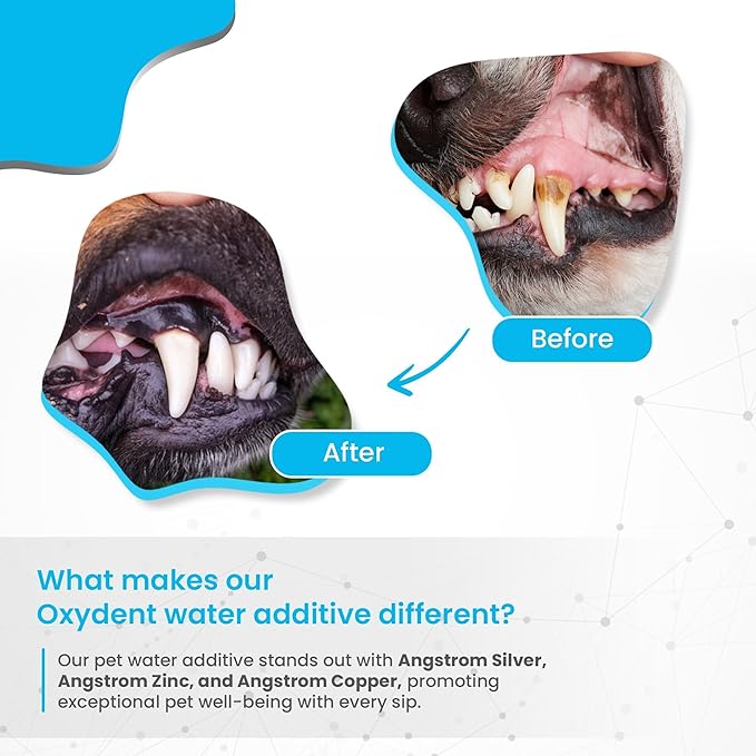 Infinite Health Labs Oxydent Premium Pet Dental Care Solution - Pet Water Additive & Mouthwash for Teeth Cleaning - Eliminate Bad Dog & Cat Bad Breath - Dog Dental Rinse - Fights Tartar & Plaque