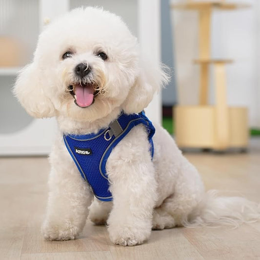 AIITLE No Pull Dog Harness and Leash Set, Step in Adjustable Dog Harness with Padded Vest for All Weather, Dog Leash with Soft Padded Handle, Easy to Put on Small and Medium Dogs Royal Blue S