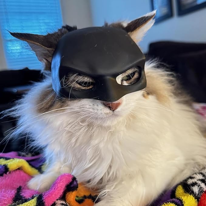 Cat Mask Cosplay, Cat Halloween Costumes, Funny Cat Costumes Accessories (Large)