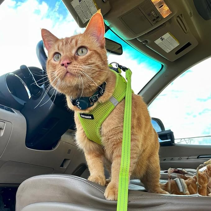 Best Pet Supplies Voyager Step-in Air Harness - All Weather Mesh, Reflective, No Pull Harness for Dogs, Cats - Secure with Hook & Loop Fastener, Buckle, Double D-Rings - Lime Green, XS