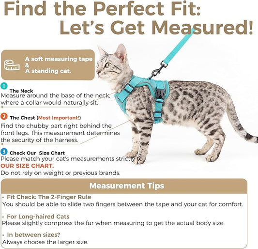 pangdi Cat Harness and Leash Set Escape Proof Tactical Medium Kitten Harness Emotional Support Cat Vest, Turquoise, M