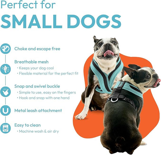 Gooby Comfort X One Dog Harness - Head-in Dog Harness for Small & Medium Sized Dogs - Escape-Free & Choke Free - Breathable Mesh, Shock Absorbing, Easy Snap & Swivel Buckles - Seattle Blue, X-Small