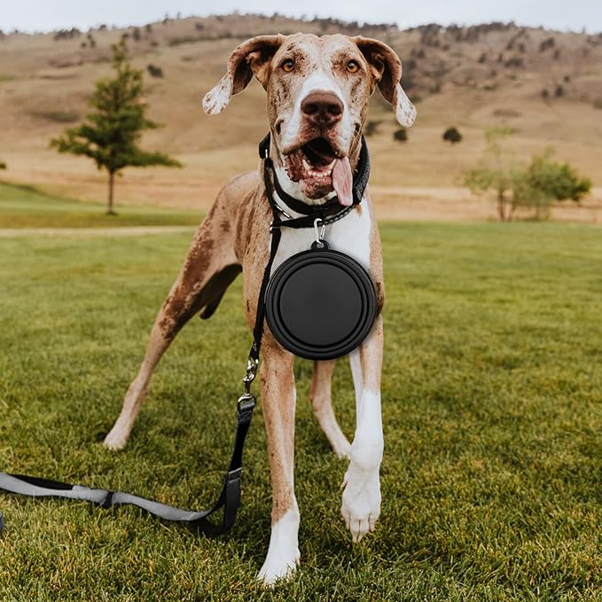 Paercute Collapsible Dog Bowl, Lightweight and Portable, Ideal for Travel, Hiking, Camping, and Everyday Use