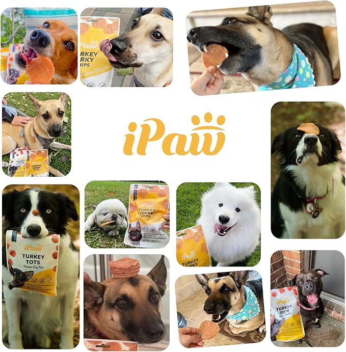 iPaw Turkey Chips Dog Treats for Puppy Training, All Natural Human Grade Dog Treat, US Sourced Raw Material, Hypoallergenic, Easy to Digest (Turkey Chips)