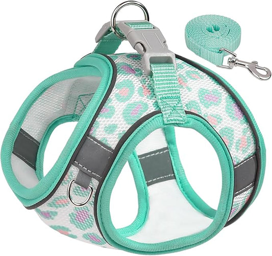 Step in Mesh Dog Harness and Leash Set - Breathable Air Mesh Reflective Escape Proof Dog Harness Vest - No Choke, Lightweight - XXS(Neck:8.5"-9.5",Chest:10"-11.5"), Green-2