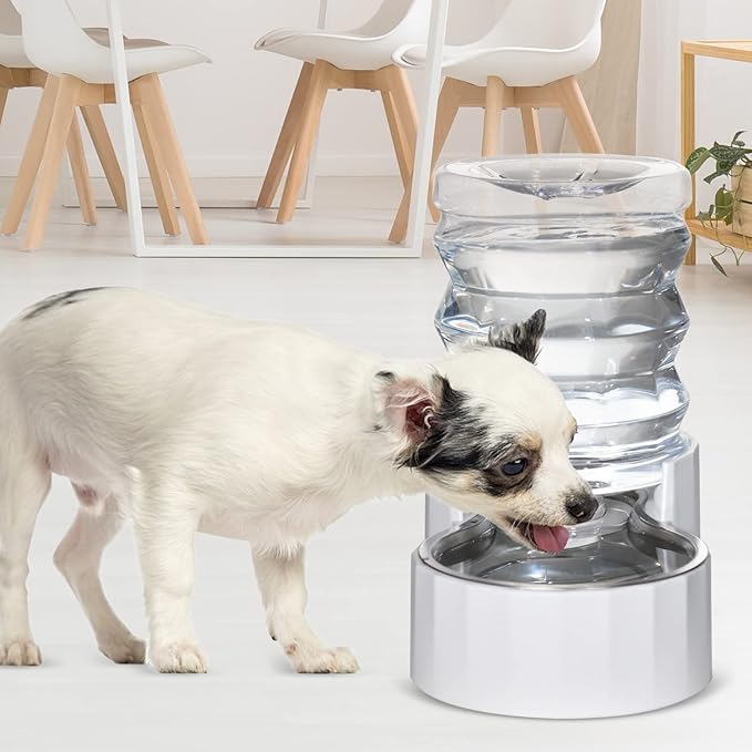 RIZZARI Dog Water Bowl Dispenser: 5L Large Stainless Steel Gravity Feeder - Leak-Proof - Detachable Bowl & Filter Instruction - Easy to Use for Busy Multi-Pet Owners with Small Puppies & Kittens