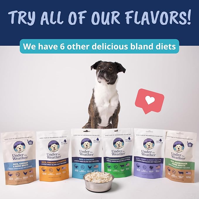 Under the Weather Bland Diet for Dogs | Easy to Digest for Sick Dogs |Always Be Ready| Contains Electrolytes - All Natural Freeze Dried 100% Human Grade Meats| 2 Pack- Rice Turkey & Sweet Potato - 6oz
