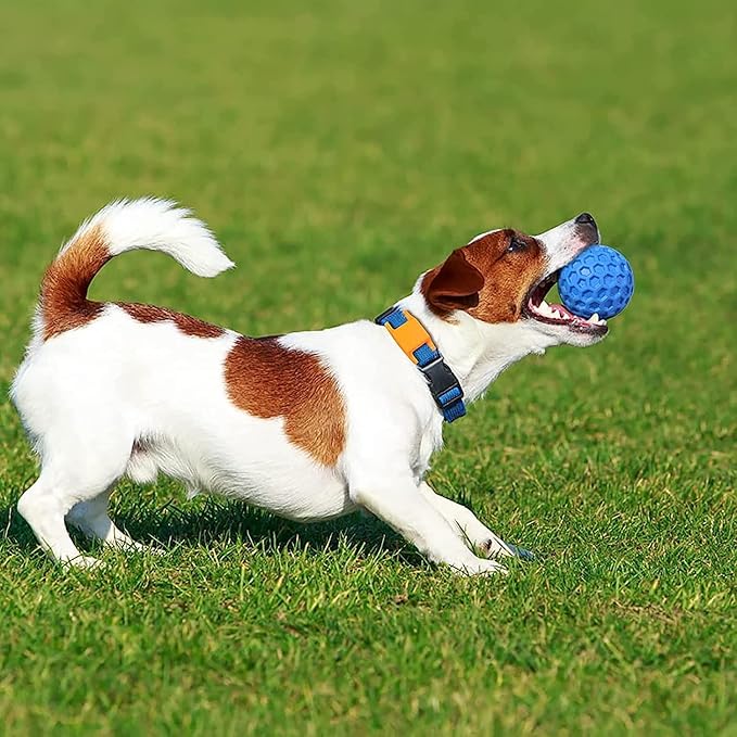 Squeaky Dog Balls, 2 Pack Indestructible Dog Toys for Aggressive Chewers Large/Medium Breed, Natural Rubber Interactive Chew Toys for Teeth Clean, Relieves Anxiety(Blue + Orange)