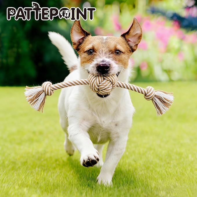 PATTEPOINT Dog Rope Toy for Small Dog 3pcs, Natural Chew Toys for Puppy, Medium & Small Dogs, Tug of War Rope for Puppies Clean & Relieve Teething