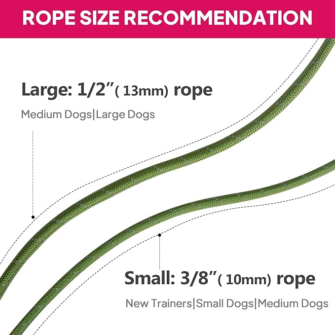 TwoEar 6FT Slip Lead Dog Leash, Heavy Duty Slip Leash for Dogs with Highly Reflective, Strong Rope Slip Leads No Pull Pet Training Leashes for Large Medium Dogs ( 1/2", Green )