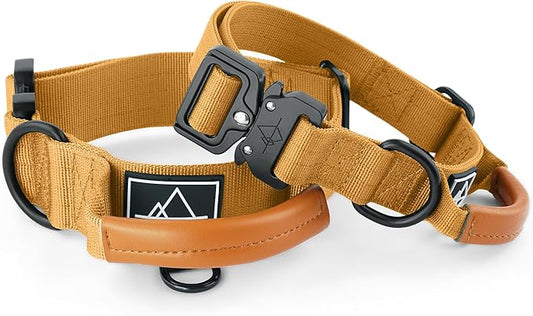 Made to ROAM Premium Explorer Control Collar - Adjustable Heavy Duty Nylon Dog Collar with Quick-Release Metal Buckle and Handle (Michigan Autumn, Control Size 3)