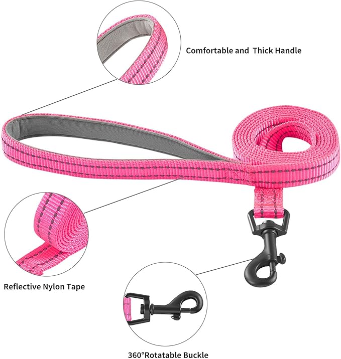 Hipubby Dog Harness and Leash Set, No Pull Soft Mesh Puppy Harness for Small Medium Dogs, Cats - Step in Reflective Breathable Lightweight Vest Harness for Walking, Training - Rose Red, XS