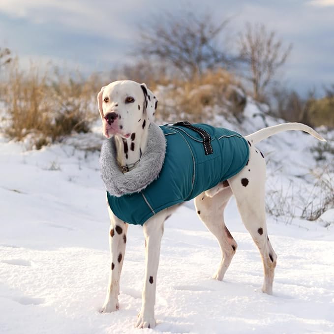 Lelepet Warm Dog Coats for Extra Large Dogs Waterproof Dog Winter Jacket Reflective Pet Fleece Vest Windproof Cold Weather Coats with Adjustable Buckle & Leash Hole, Dark Green, XXXL