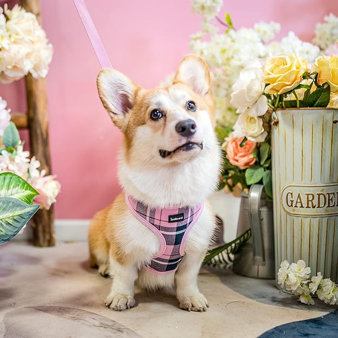 SCENEREAL Puppy Dog Harness with Leash Set for Small Medium Sized Dogs, Soft Mesh Step in Pet Harnesses and Leash, No Chock Plaid Adjustable No Pull Vest for Dogs Cats, Chihuahua,Bulldog (Pink XS)