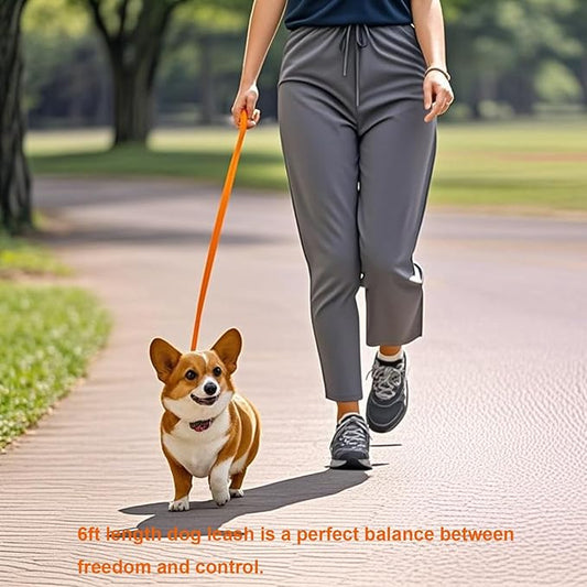 6 FT Puppy Leashes, Strong Traditional Style Leash with Easy to Use Collar Hook,Dog Lead Great for Small and Medium and Large Dog (Orange, 5/8 in x 6 ft)