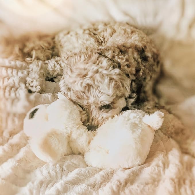 Original Snuggle Puppy Heartbeat Puppy Toy - Heartbeat Puppy for Dogs - Pet Anxiety Relief and Calming Aid - Comfort Dog Toy - Behavioral Training and Sleep Aid Cuddle buddy - Crate Training Essential