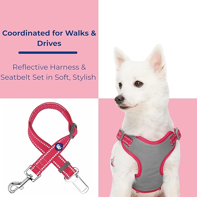 Blueberry Pet Pastel Colored Reflective Dog Harness with Seatbelt Clip – Adjustable No-Pull Pet Vest for Walking and Car Safety, Medium Size in Very Berry