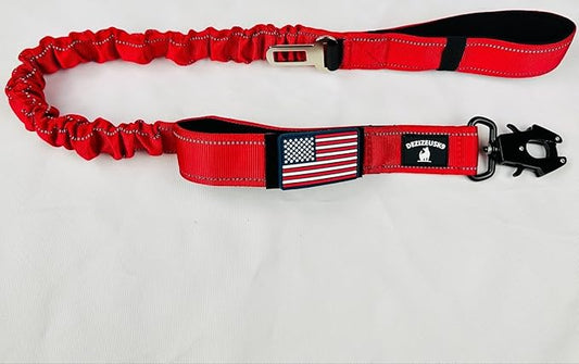 Heavy Duty Bungee Dog Leash - Shock Absorbing, Seat Belt Clip, Quick Release Frog Clasp, Double Padded Handles, for Large and Medium Dogs, Durable for Training, Walking, Car Safety, Outdoor Adventure