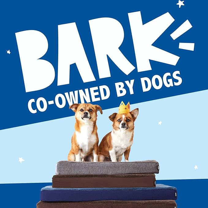 Barkbox Orthopedic Dog Bed | Comfortable Memory Foam Mattress for Joint Relief | Head and Neck Support Waterproof with Non Skid Bottom | Calming Durable Bed with Washable Cover | Large, Stripe