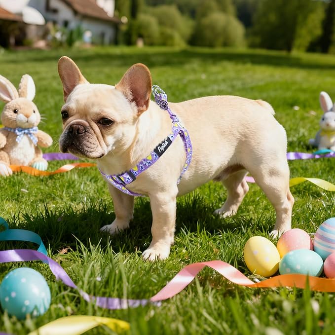 PUPTECK No Pull Easter Dog Harness Soft Adjustable Basic Nylon Step in Puppy Vest Outdoor Walking with ID Tag, Light Purple S