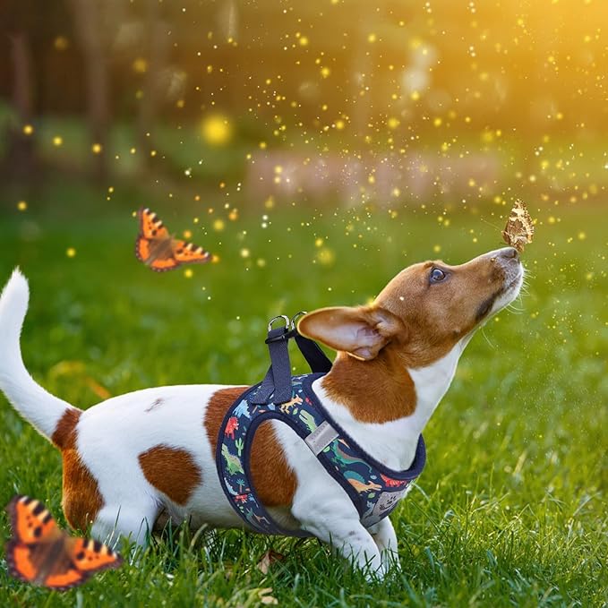 KOOLTAIL Dog Harness and Leash Set for Small Medium Dogs, Step in No Pull Soft Mesh Dog Harness Comfort Padded Pet Vest, Adjustable Reflective Easy Walking Puppy Cats Harnesses Training, Dinosaur M